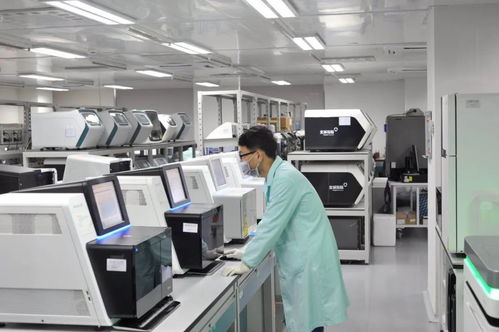 清明節(jié)放假安排來啦 新冠病毒疫苗即將進入動物攻毒保護試驗